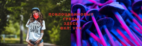 2c-b Ельня