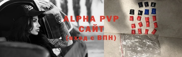 2c-b Ельня