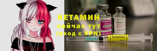 2c-b Ельня
