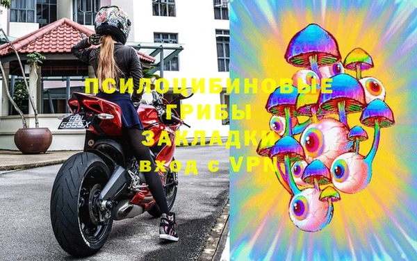 соль ск Елабуга