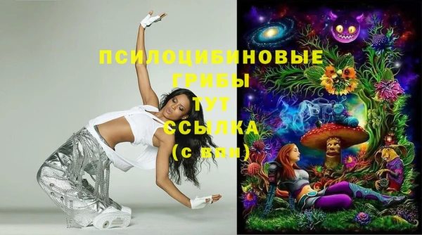 2c-b Ельня