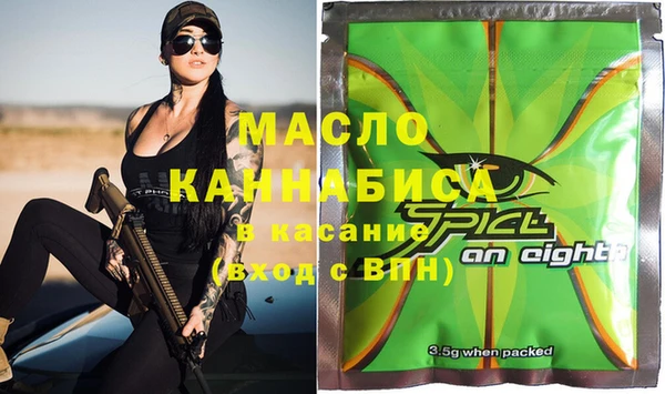 2c-b Ельня