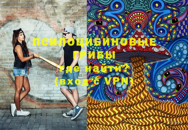 2c-b Ельня