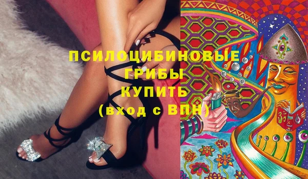 2c-b Ельня