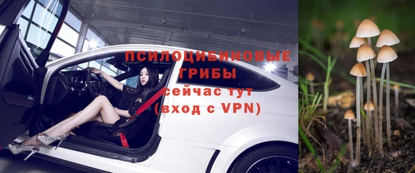 2c-b Ельня